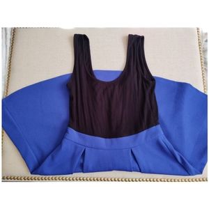 2/$25 Color Blocked Cobalt/Black Fit & Flare Dress